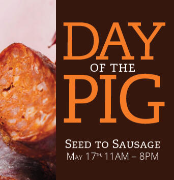 Day of the Pig